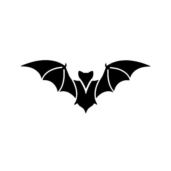 Spooky Bat